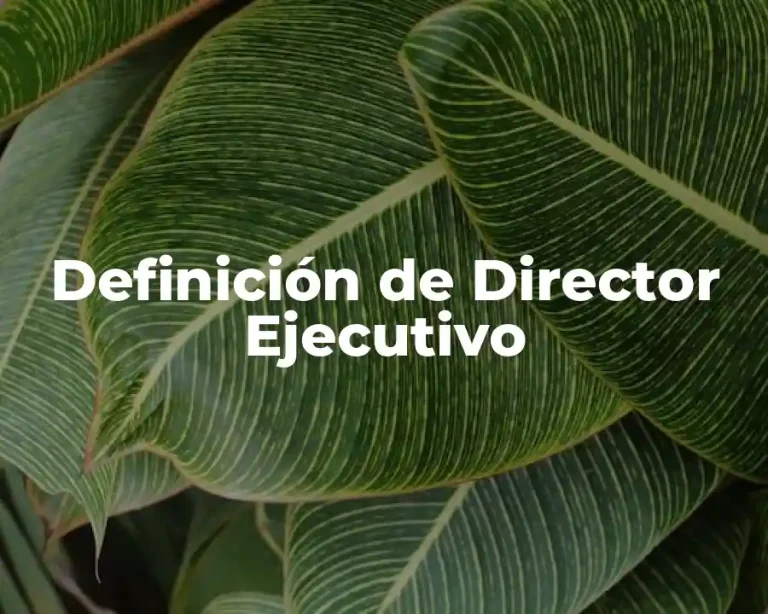 Definición de Director Ejecutivo