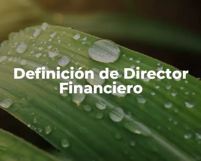 Definición de Director Financiero