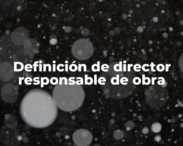Definición de director responsable de obra