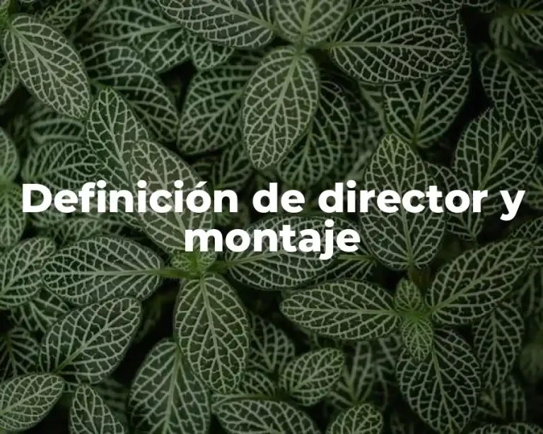Definición de director y montaje
