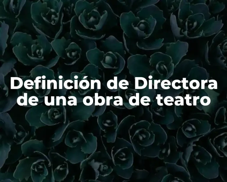 Definición de Directora de una obra de teatro