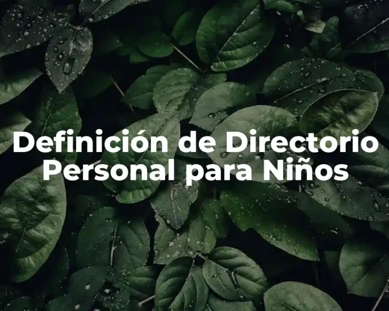 Definición de Directorio Personal para Niños