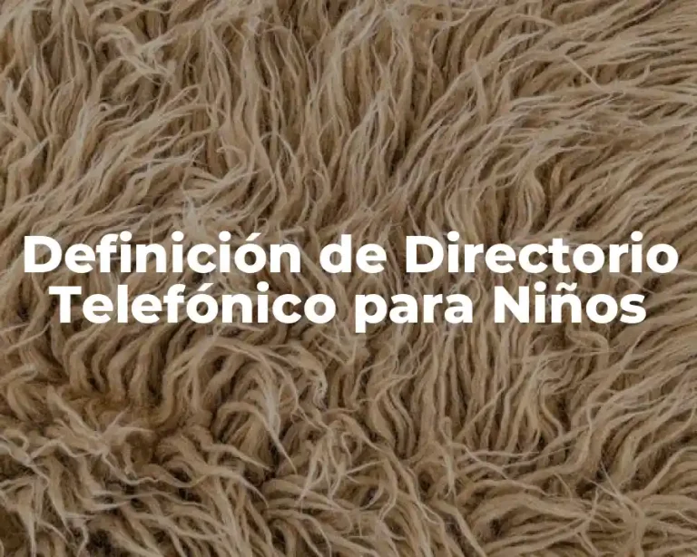 Definición de Directorio Telefónico para Niños