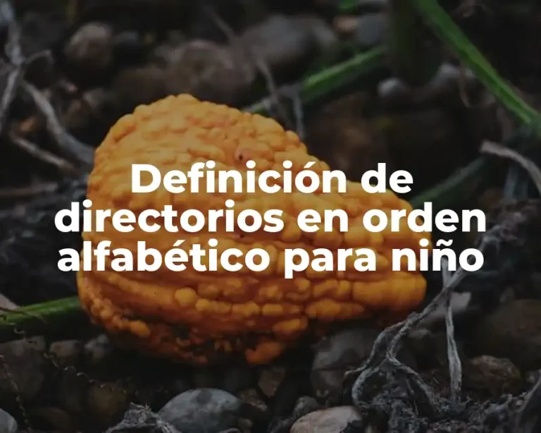 Definición de directorios en orden alfabético para niño