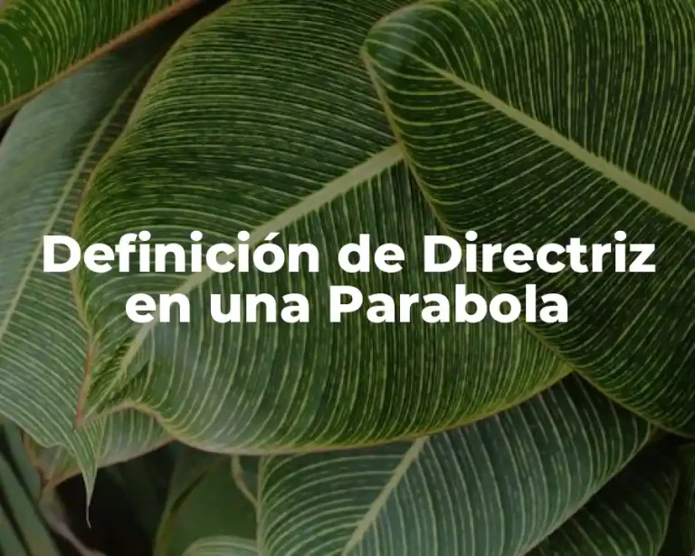 Definición de Directriz en una Parabola