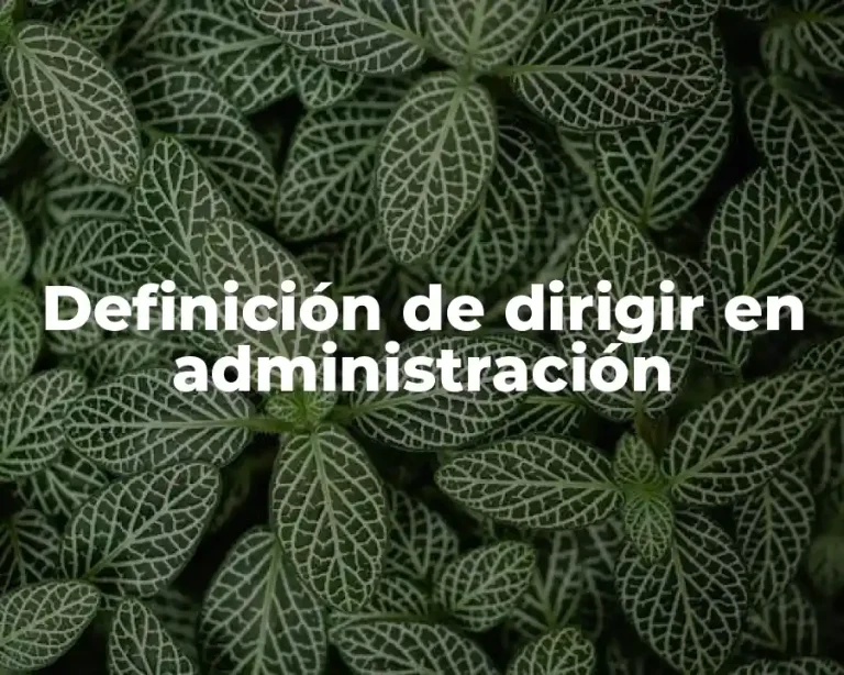 Definición de dirigir en administración