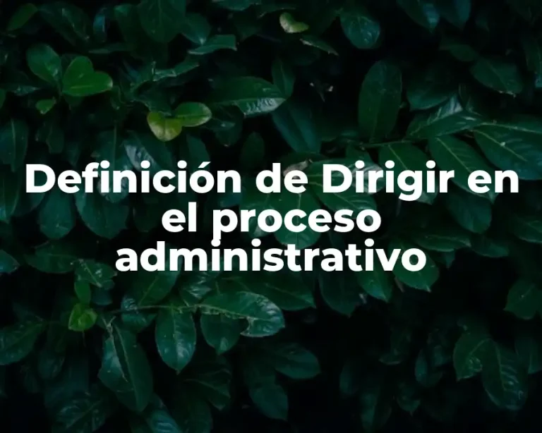 Definición de Dirigir en el proceso administrativo