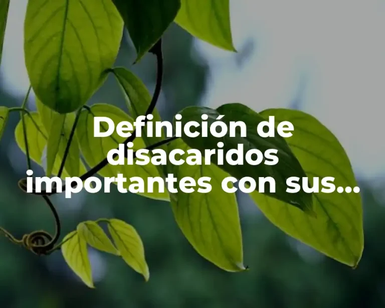 Definición de disacaridos importantes con sus formulas quimicas