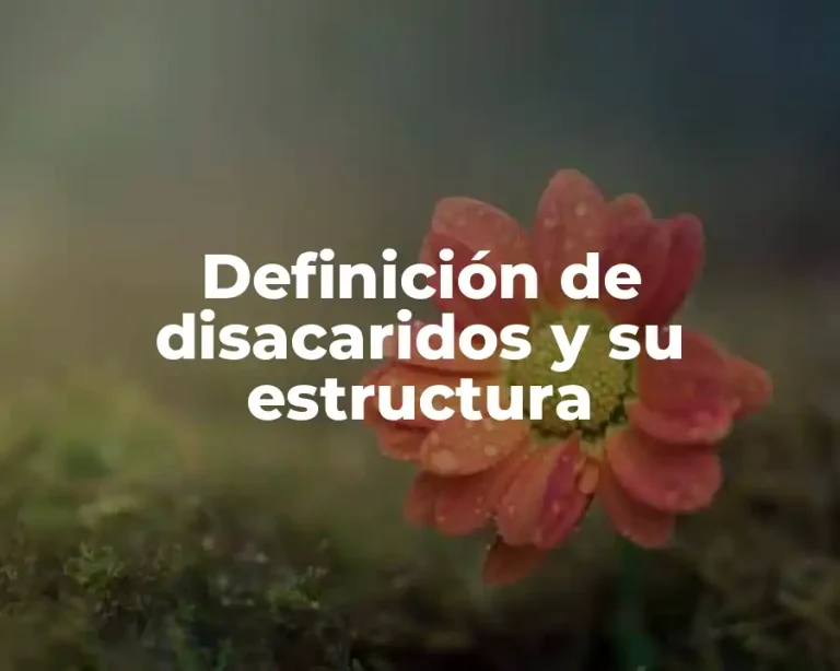 Definición de disacaridos y su estructura