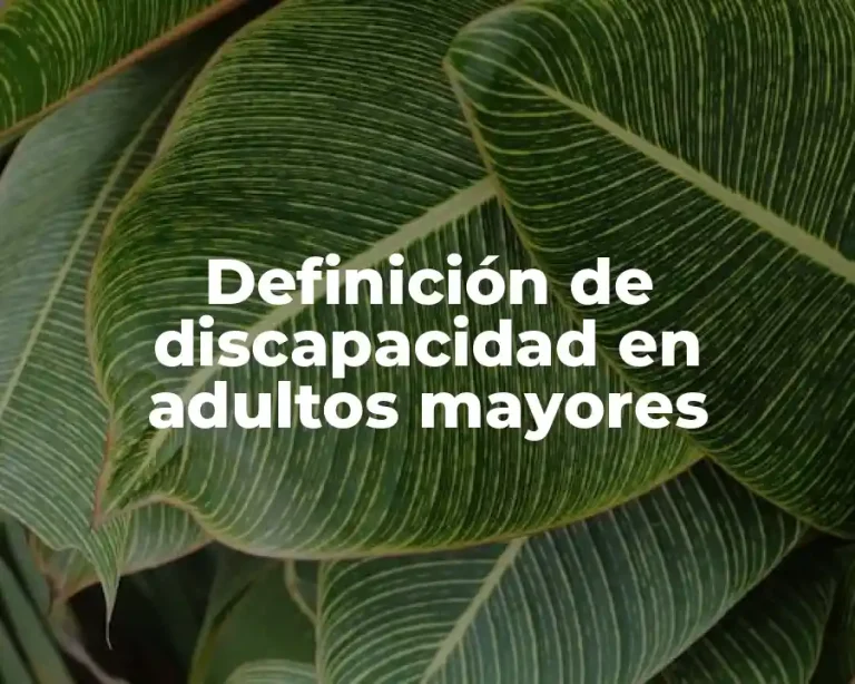 Definición de discapacidad en adultos mayores