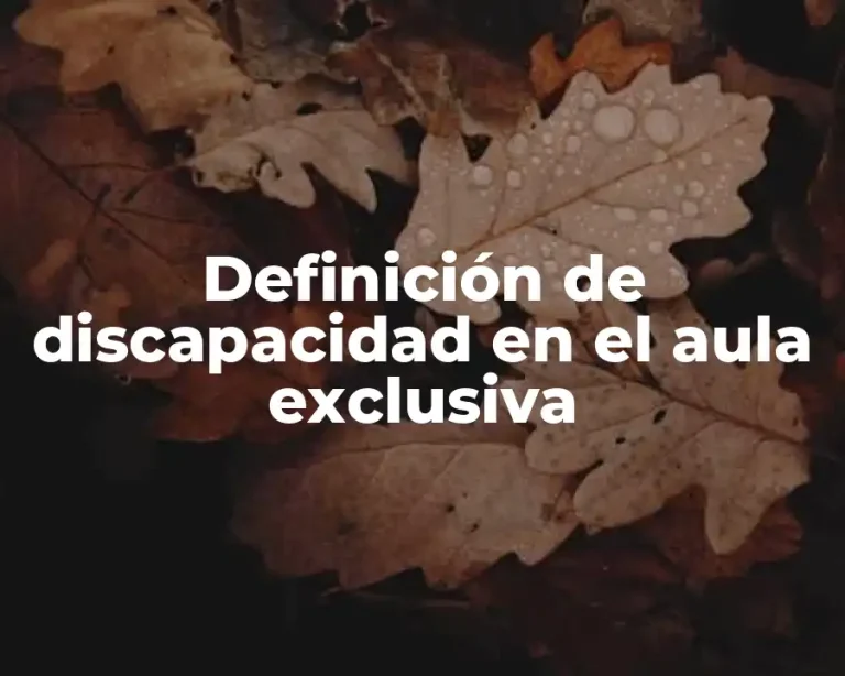 Definición de discapacidad en el aula exclusiva