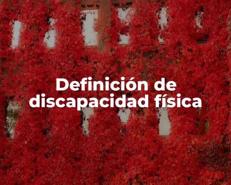 Definición de discapacidad física