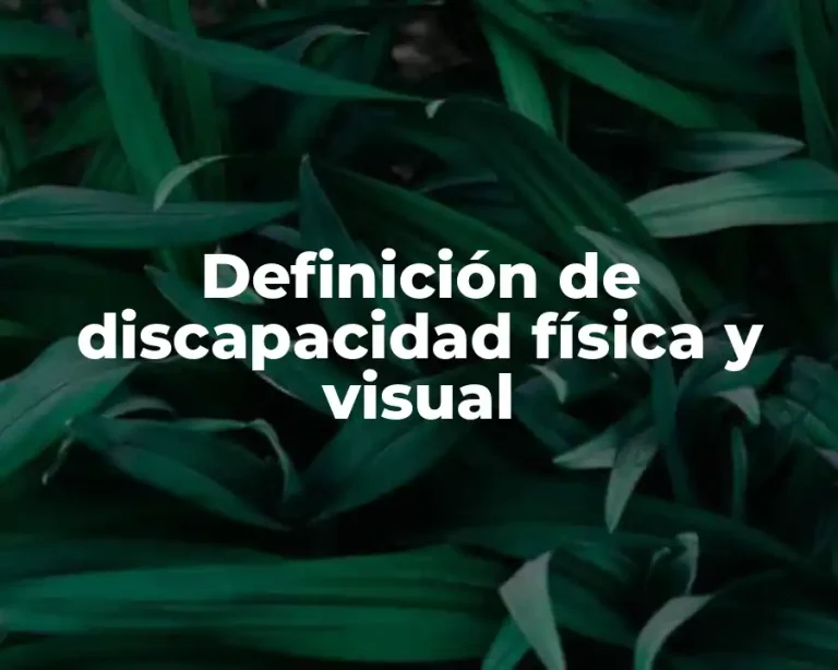 Definición de discapacidad física y visual