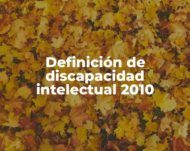 Definición de discapacidad intelectual 2010