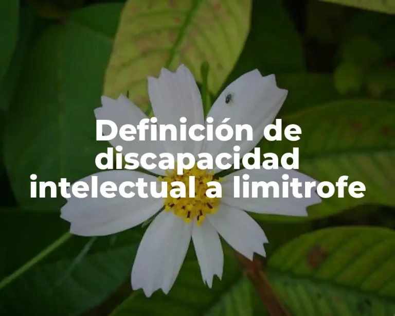 Definición de discapacidad intelectual a limitrofe