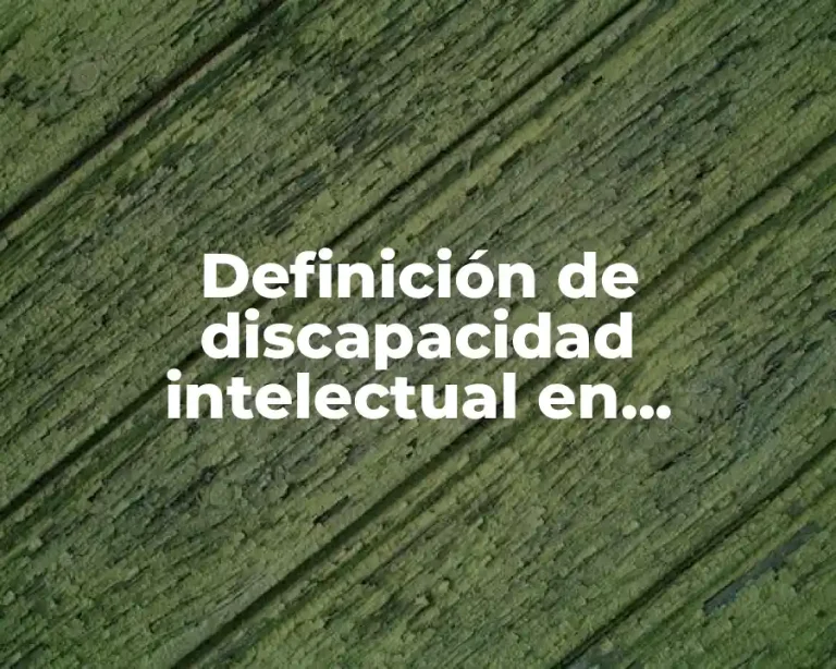 Definición de discapacidad intelectual en educación