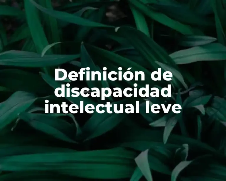 Definición de discapacidad intelectual leve