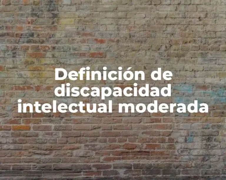 Definición de discapacidad intelectual moderada