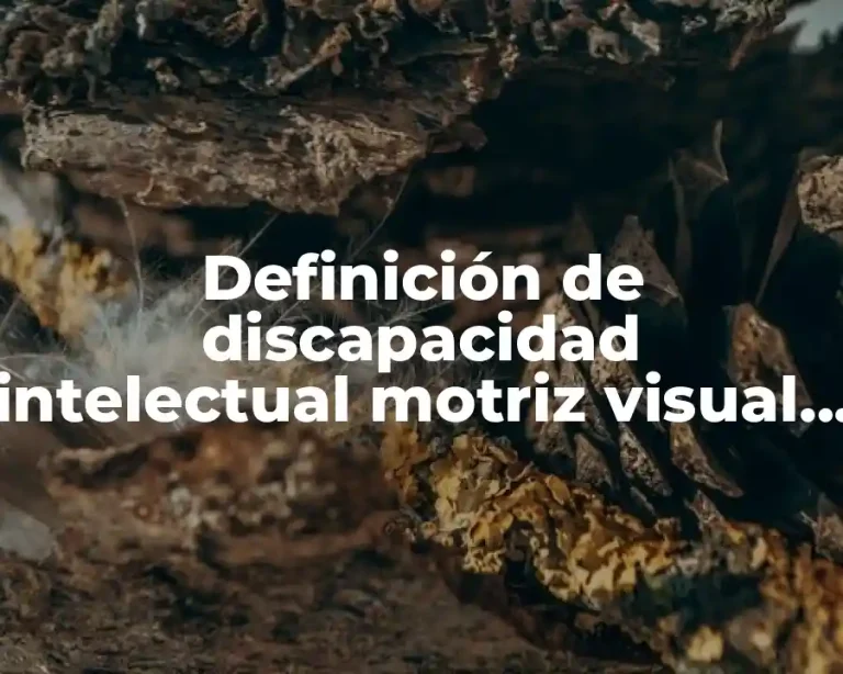 Definición de discapacidad intelectual motriz visual auditiva