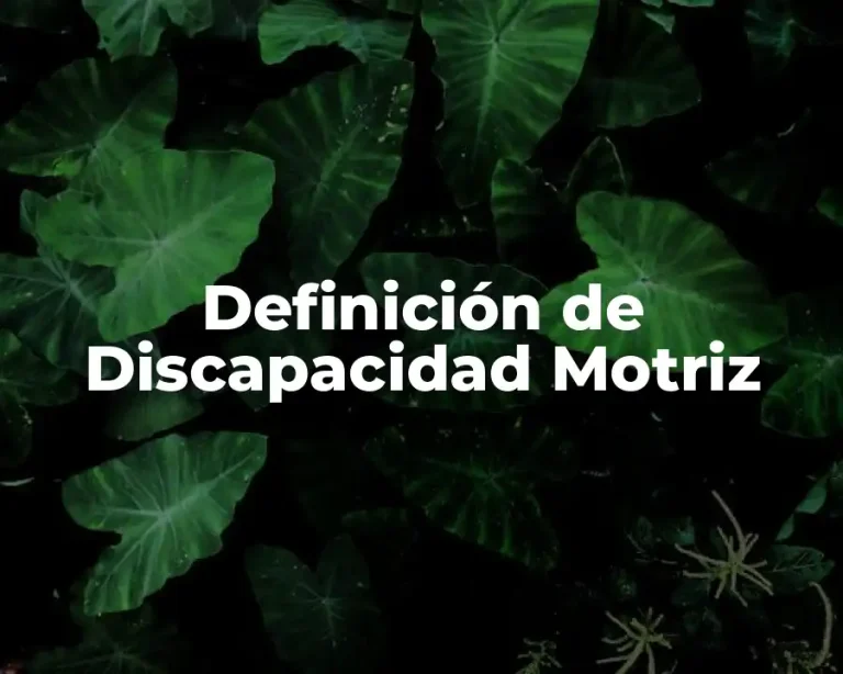 Definición de Discapacidad Motriz