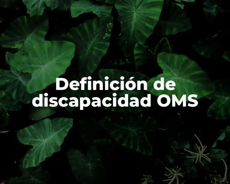 Definición de discapacidad OMS