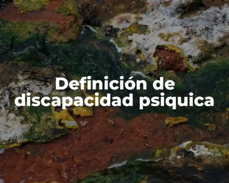Definición de discapacidad psiquica