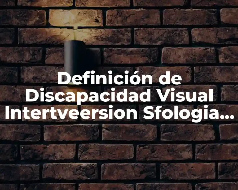 Definición de Discapacidad Visual Intertveersion Sfologia 7