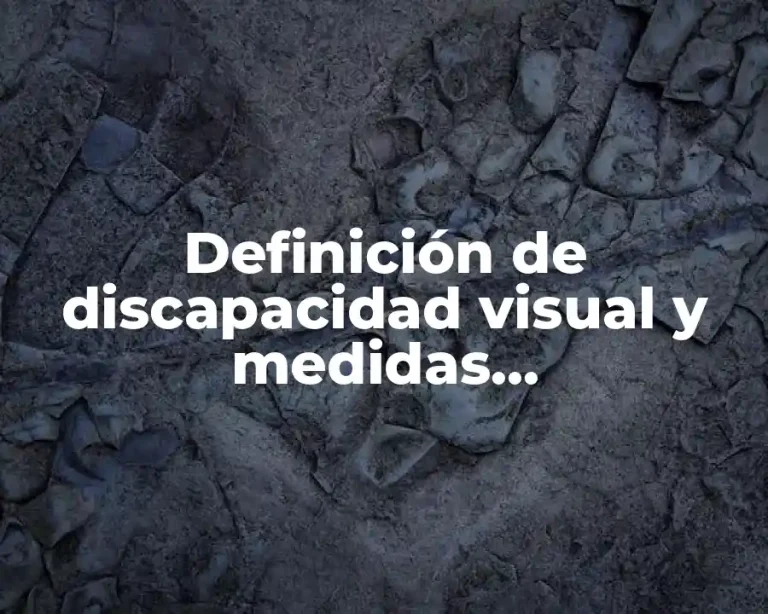 Definición de discapacidad visual y medidas arquitectónicas