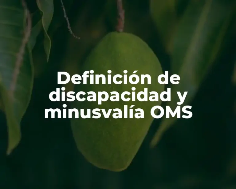 Definición de discapacidad y minusvalía OMS