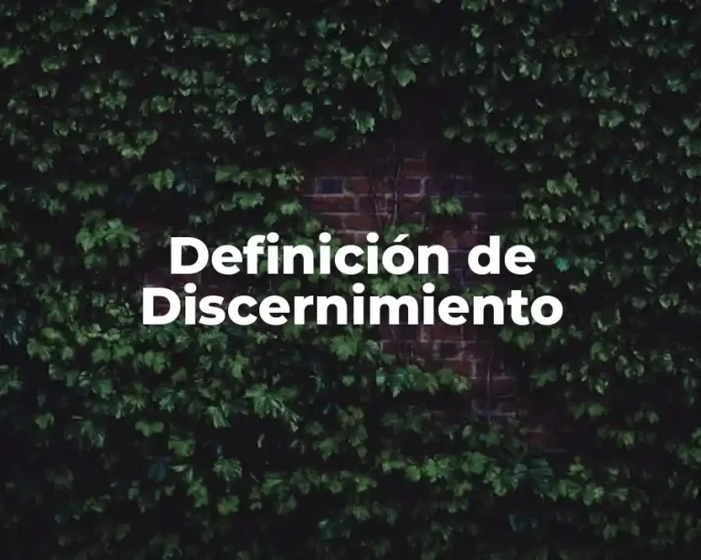 Definición de Discernimiento