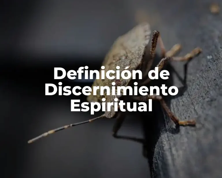 Definición de Discernimiento Espiritual