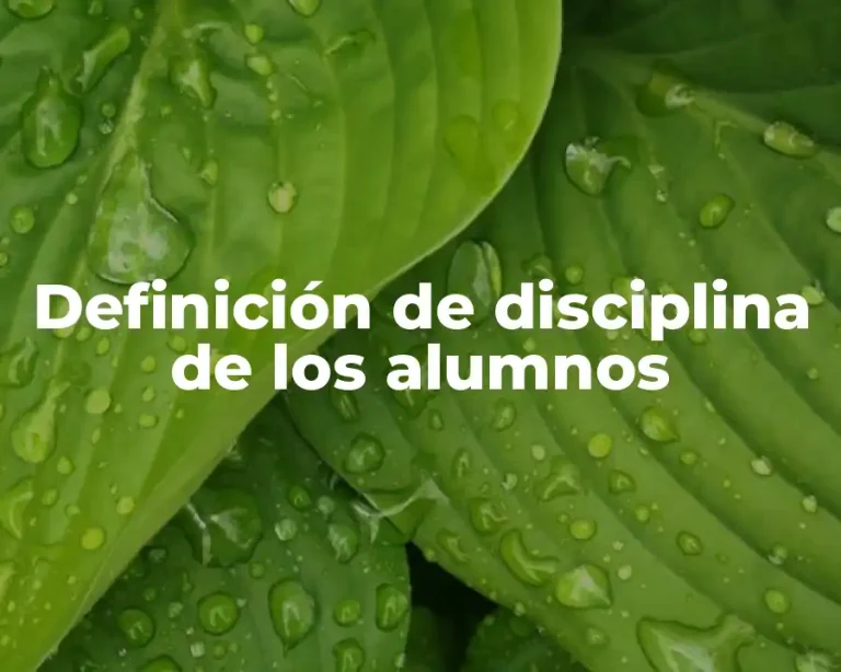 Definición de disciplina de los alumnos