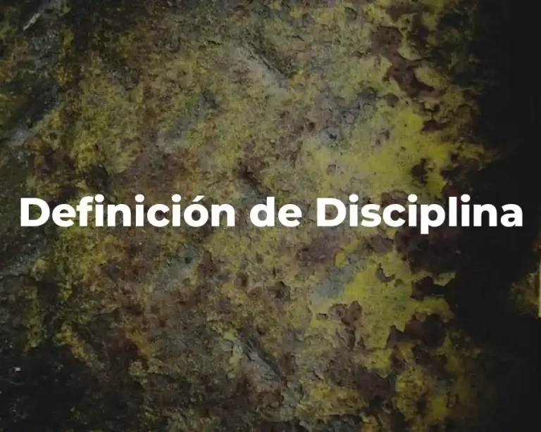 Definición de Disciplina