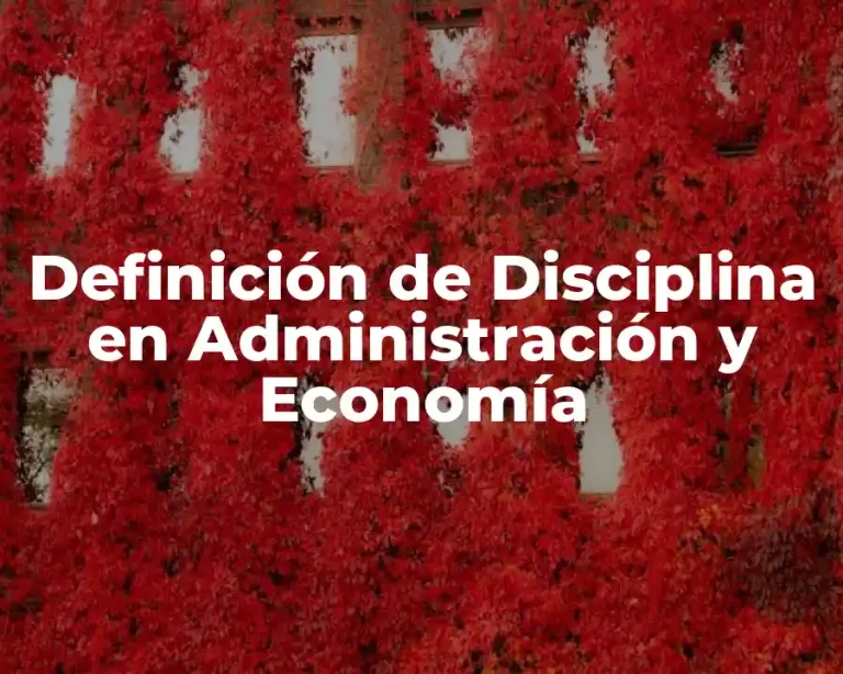 Definición de Disciplina en Administración y Economía