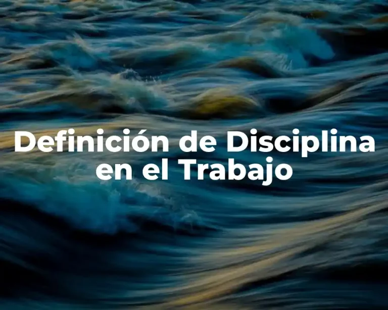 Definición de Disciplina en el Trabajo