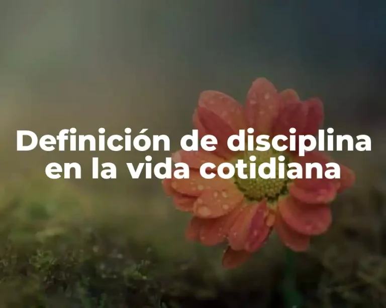 Definición de disciplina en la vida cotidiana