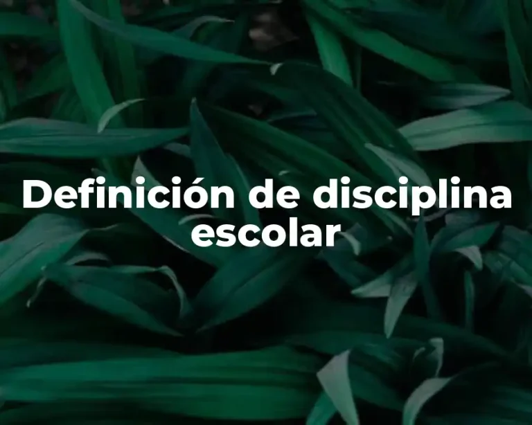 Definición de disciplina escolar