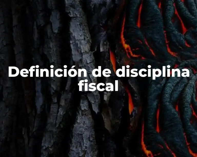 Definición de disciplina fiscal