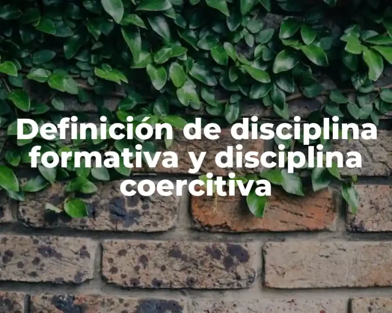 Definición de disciplina formativa y disciplina coercitiva