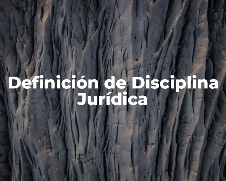 Definición de Disciplina Jurídica