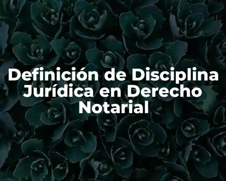 Definición de Disciplina Jurídica en Derecho Notarial