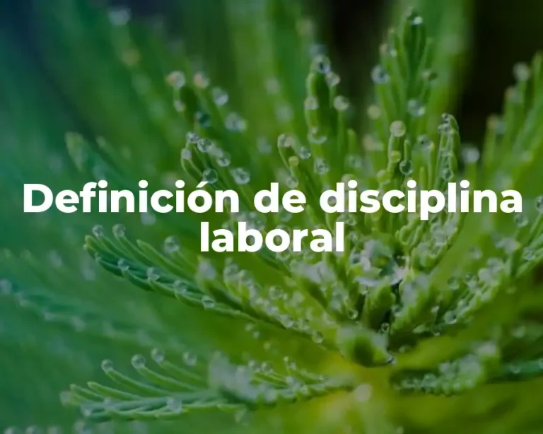 Definición de disciplina laboral