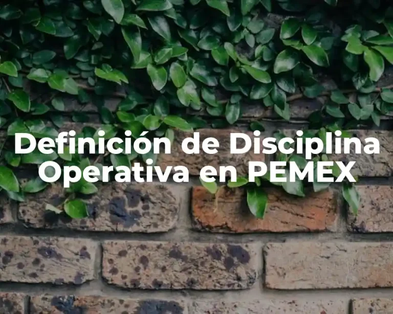 Definición de Disciplina Operativa en PEMEX