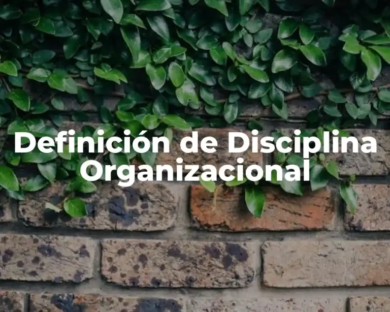 Definición de Disciplina Organizacional