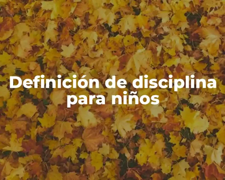 Definición de disciplina para niños