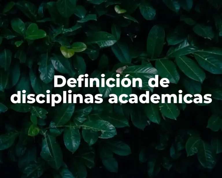 Definición de disciplinas academicas