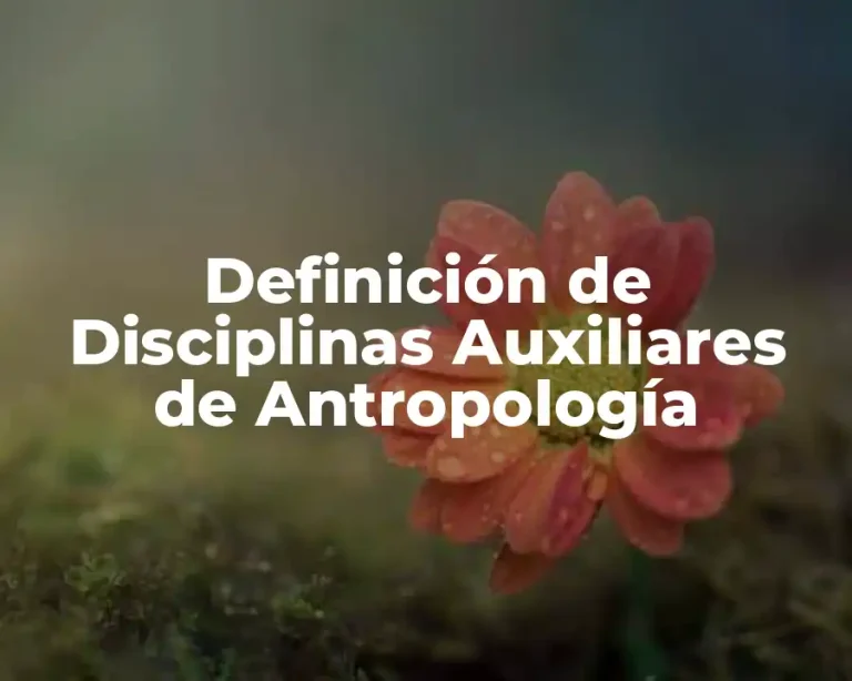 Definición de Disciplinas Auxiliares de Antropología