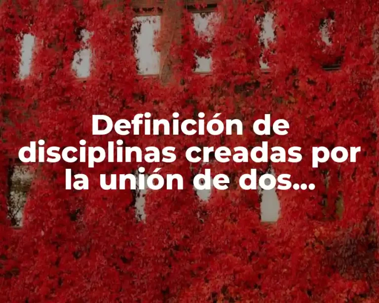 Definición de disciplinas creadas por la unión de dos disciplinas