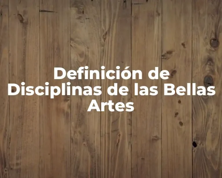 Definición de Disciplinas de las Bellas Artes
