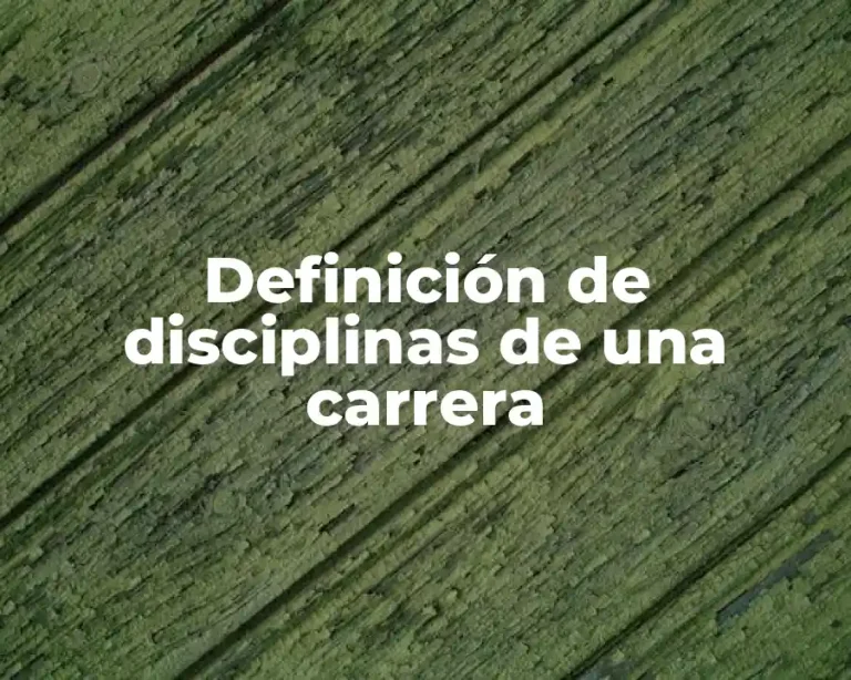 Definición de disciplinas de una carrera
